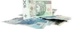 Polski Nowy Złoty – polska waluta!