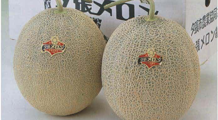 Melony