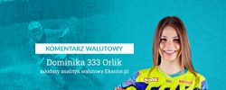 komentarz walutowy, Dominika Orlik, 333, motocross, enduro