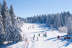 narty, snowboard, podróż, wyjazd, ferie